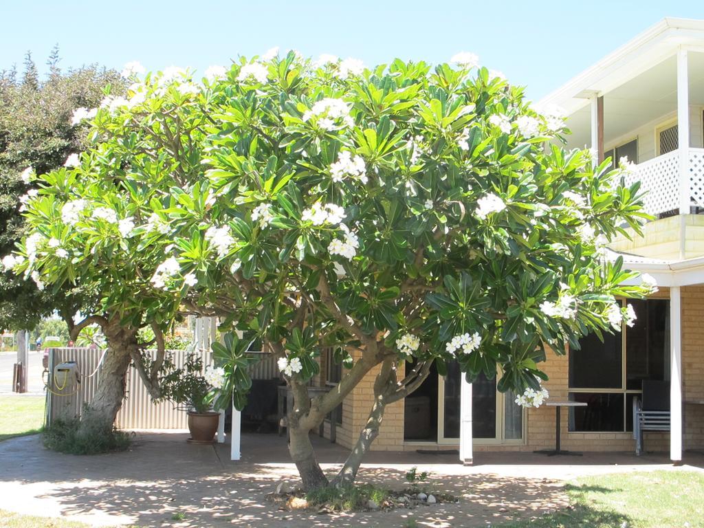 Kalbarri Riverfront Unit Apartment Luaran gambar